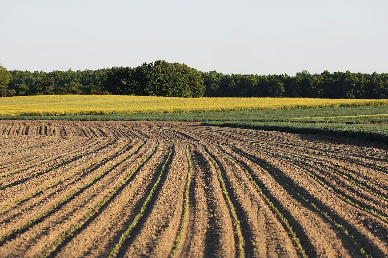 Agriculture